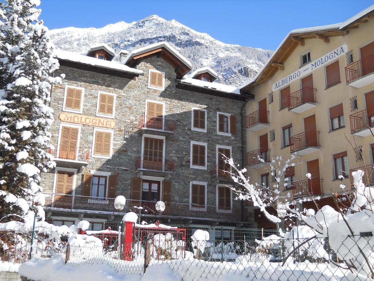 Albergo Mologna Gaby Dış mekan fotoğraf