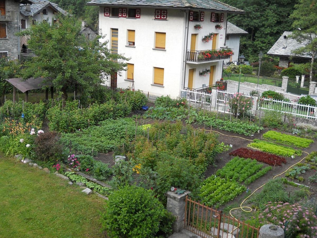 Albergo Mologna Gaby Dış mekan fotoğraf